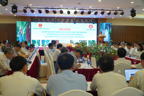 Hội nghị Sơ kết sản xuất trồng trọt, bảo vệ thực vật năm 2025 và triển khai kế hoạch sản xuất năm 2026 tại vùng Duyên hải Nam Trung bộ - Tây Nguyên