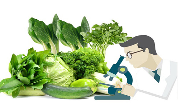 Yêu cầu về Kiểm dịch thực vật đối với ớt tươi xuất khẩu sang thị trường Trung Quốc
