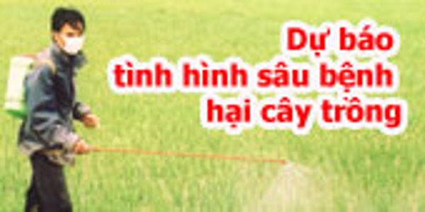 Công văn số 274/TTBVTV-DKSVH ngày 25/5/2018 - Dự kiến tình hình sinh vật hại vụ hè thu năm 2018